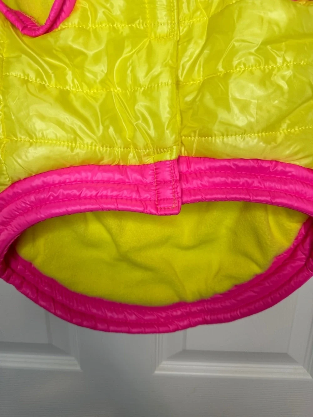 Top Paw bright neon